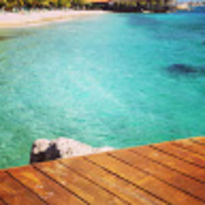 Meet your Posher, Luis